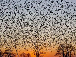 Membangkitkan Martha dari Kematian