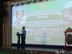 Mentan Pede Integrasi Sawit-Jagung Tak Akan Gagal Seperti Sawit-Sapi