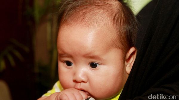 Gemes! Tembemnya Pipi Putra Zaskia Mecca dan Hanung Bramantyo