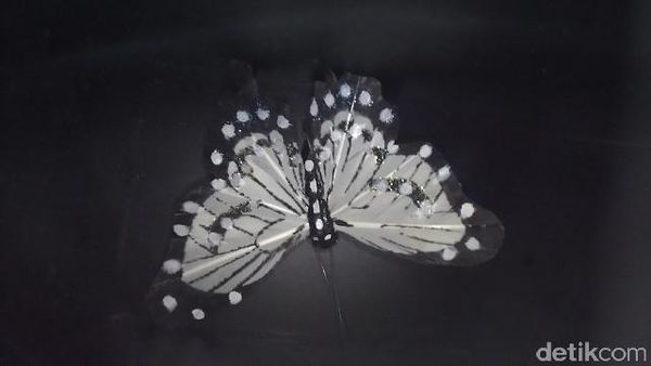 Menjajal Tangkapan Gambar Zenfone 3