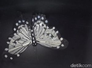 Menjajal Tangkapan Gambar Zenfone 3 Menjajal Tangkapan Gambar Zenfone 3