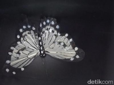 Menjajal Tangkapan Gambar Zenfone 3