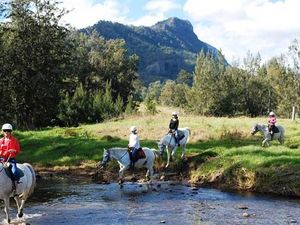 Anti Stres! Menginap di Rumah Peternakan Australia Anti Stres! Menginap di Rumah Peternakan Australia