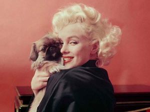 Terungkap, Sosok Selebriti Paling Diminati untuk Dibuat Versi Robot Seks Terungkap, Sosok Selebriti Paling Diminati untuk Dibuat Versi Robot Seks