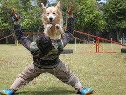 Cesar Millan dari Puncak