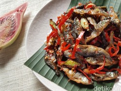 Ini Dia 4 Ikan Air Tawar yang Cuma Ada di Indonesia