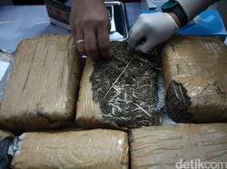 Polisi Gerebek Kontrakan Bandar Narkoba di Bogor, 111 Kg Ganja Disita