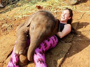 Bertemu Gajah yang Senang Peluk Turis di Chiang Mai