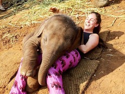 Bertemu Gajah yang Senang Peluk Turis di Chiang Mai