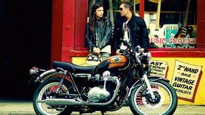 Goodbye Kawasaki W800