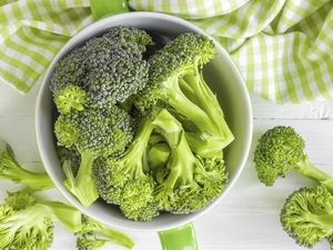 6 Makanan yang Mengandung Vitamin D dan Kalsium untuk Dongkrak Imunitas 6 Makanan yang Mengandung Vitamin D dan Kalsium untuk Dongkrak Imunitas