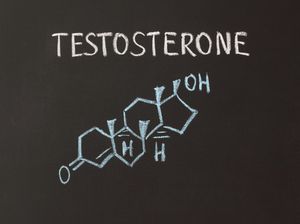 Paksu Perlu Tahu! Ini 5 Makanan yang Bisa Bikin Hormon Testosteron Anjlok Paksu Perlu Tahu! Ini 5 Makanan yang Bisa Bikin Hormon Testosteron Anjlok