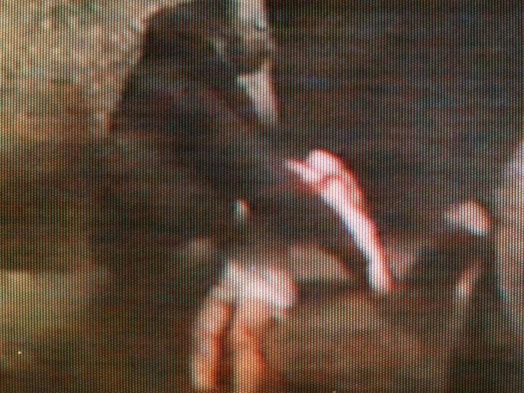 Gorila AS Ditembak Mati Ingatkan Kisah Haru 1996 Saat Gorila Lindungi Bocah