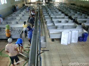 Hari Ini Terakhir! Lowongan Kerja BUMN 2021 dari PTPN IX, Ini Syarat Lengkapnya Hari Ini Terakhir! Lowongan Kerja BUMN 2021 dari PTPN IX, Ini Syarat Lengkapnya