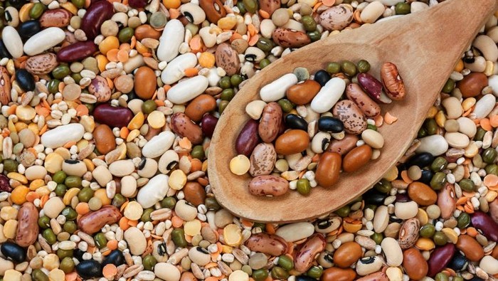 kacang-kacangan kacang-kacangan