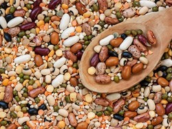 Kacang-kacangan Bisa Jadi Sumber Asupan Nutrisi yang Murah