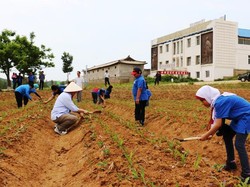 Ketika Anak-anak Indonesia Praktik Bercocok Tanam di Korea Utara