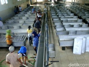 Sudah Disuntik Modal Malah Tambah Rugi, Ini Kata PTPN III Sudah Disuntik Modal Malah Tambah Rugi, Ini Kata PTPN III