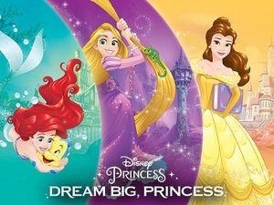 Era Baru Princess