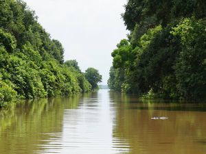 Korban Tewas Banjir di Texas Bertambah Jadi 16 Orang