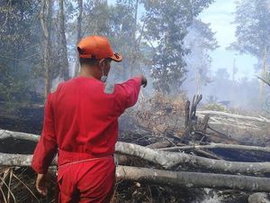 10 Ha Lahan Gambut di Kepulauan Meranti Terbakar, 4 Ekor Ular Terpanggang