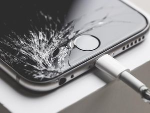Inspirasi Paten iPhone Anti Retak: Kucing! Inspirasi Paten iPhone Anti Retak: Kucing!