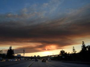 Kebakaran Hutan Dekati Los Angeles, 5 Ribu Warga Mengungsi