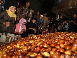 Selain Makin Mahal, Jengkol Juga Sulit Dicari