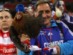 Kisah Balthazar si Ayam Jago yang Dilarang Nonton Langsung Partai Euro