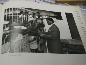 Sentuhan Tangan The Greatest Muhammad Ali Bagi Kaum Papa Indonesia