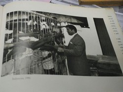 Sentuhan Tangan The Greatest Muhammad Ali Bagi Kaum Papa Indonesia