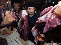 Akom: Daging Sapi Mahal Karena Importir Ambil Untung Besar