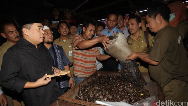 Akom Borong Jengkol di Pasar Cibitung