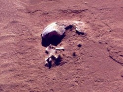 Teknologi DNA Terbaru Pastikan Aborijin Penduduk Pertama Australia