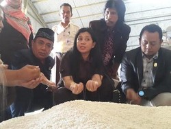 Ada Raskin Tak Layak Konsumsi, Komisi II DPRD Banyuwangi Sidak Bulog