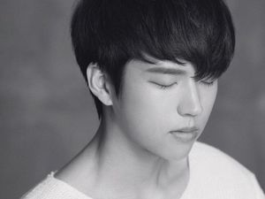 Woohyun, Album Solo dan Status Singer-Songwriter