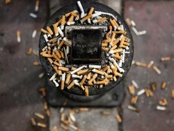 Buang Puntung Rokok, Sabri Jadi Tersangka Kebakaran Hutan