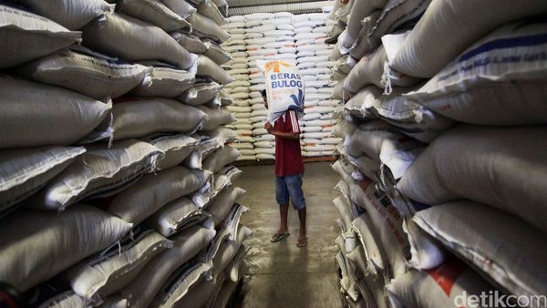 Stok Beras Bulog Aman Hingga 7 Bulan