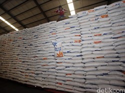 Bakal Ada Surplus Beras 2,8 Juta Ton, BPS: Hanya Cukup Sebulan