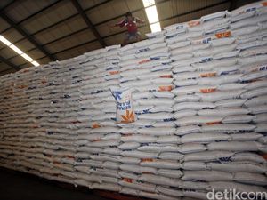 Bakal Ada Surplus Beras 2,8 Juta Ton, BPS: Hanya Cukup Sebulan Bakal Ada Surplus Beras 2,8 Juta Ton, BPS: Hanya Cukup Sebulan