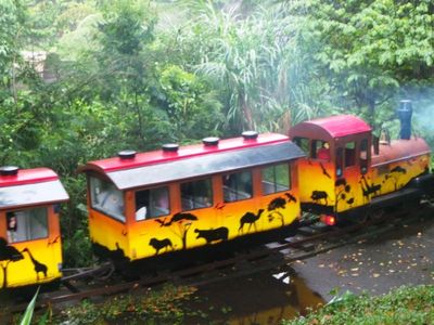 Tut.. Tut.. Asyiknya Naik Kereta Wisata di Taman Safari Prigen