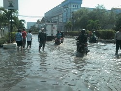 Pak Ahok Tolong, Rob di Muara Baru Sudah Ganggu Warga