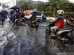 BNPB: Banjir Rob Landa 24 Wilayah di Jawa, Ratusan Orang Mengungsi