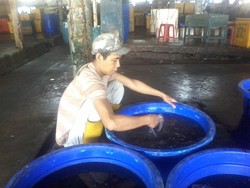 Jengkelnya Pedagang Kelontong dan Ikan di Muara Baru Terkena Banjir Rob