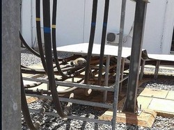 Seekor Kera Padamkan Aliran Listrik di Seluruh Kenya