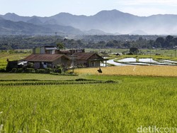 Petani Senyum Semringah Kala Listrik Masuk Sawah
