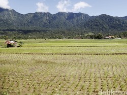 Petani Milenial Jabar Jangan Sekadar Viral di Media Sosial