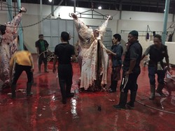 Kejari Selidiki Dugaan Korupsi di PD Rumah Potong Hewan Surabaya