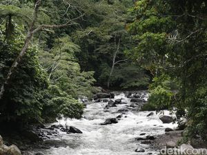 9 Sungai di Wilayah Sumsel Berstatus Siaga, Ini Daftarnya 9 Sungai di Wilayah Sumsel Berstatus Siaga, Ini Daftarnya
