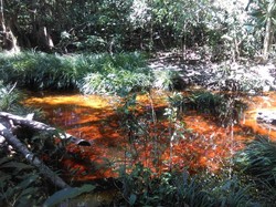Yang Unik di Pulau Bangka: Air Terjun Berwarna Merah